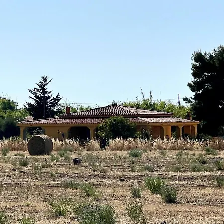 Pedras De Fogu * Tonnara (Sassari)